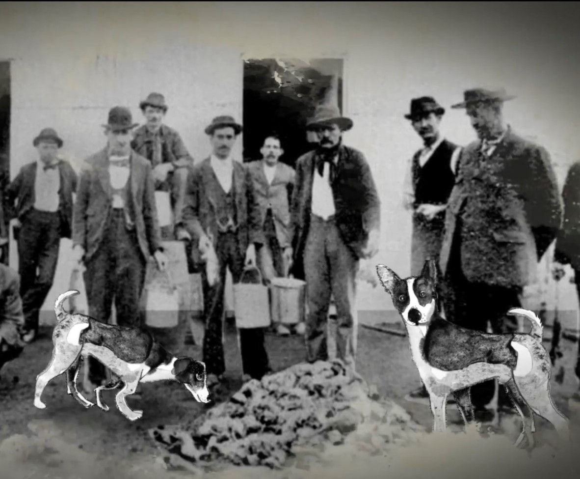 A group of men and two dogs crowded around a pile of rats