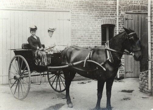 Two women in a horse carriage with a horse at the front ready to drive them