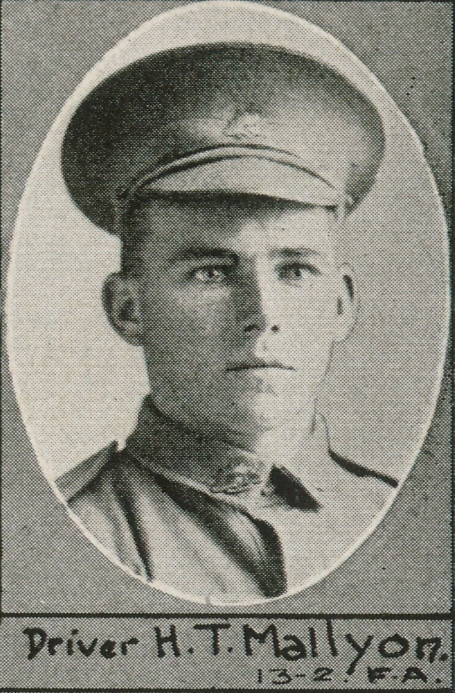  Driver H.T. Mallyon 13-2 F.A., one of the soldiers photographed in The Queenslander Pictorial, supplement to The Queenslander, 1916.