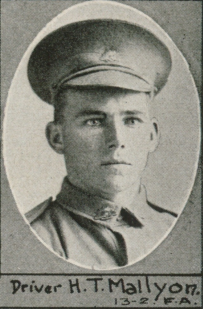 Driver H.T. Mallyon 13-2 F.A., one of the soldiers photographed in The Queenslander Pictorial, supplement to The Queenslander, 1916.