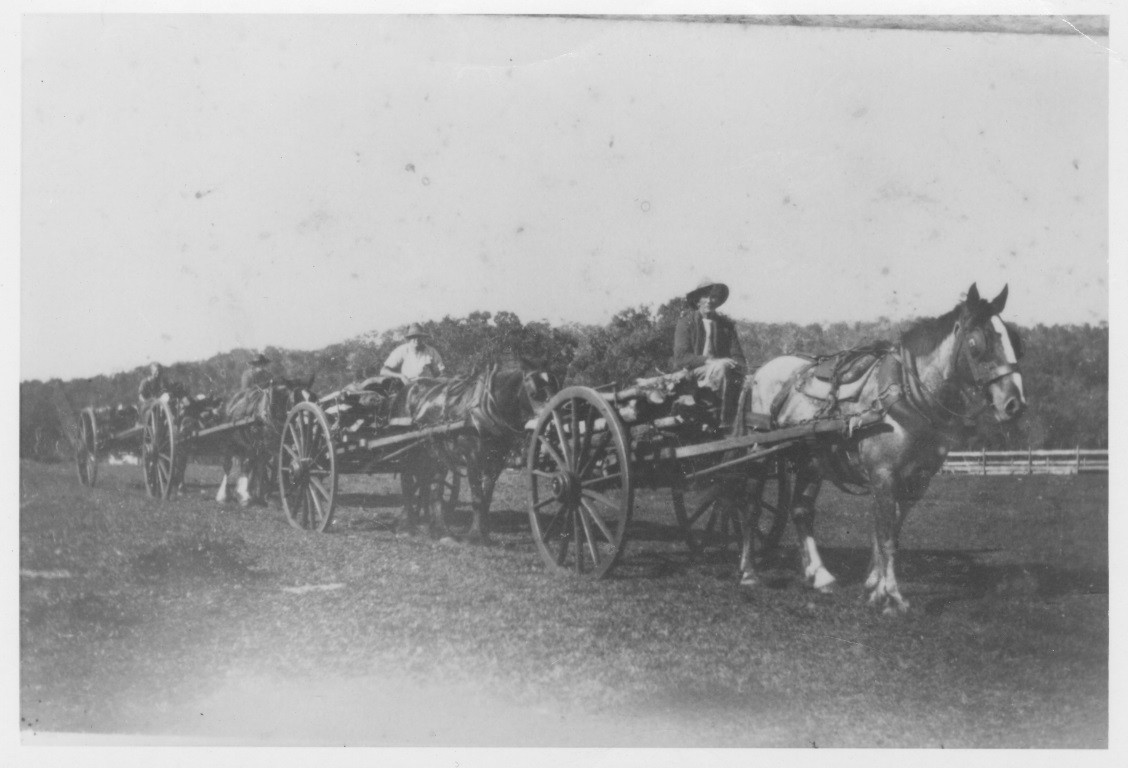 Dunwich drays with cordwood.