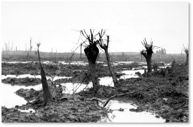 View of the swamps of Zonnebeke, Belgium, 12 October 1917