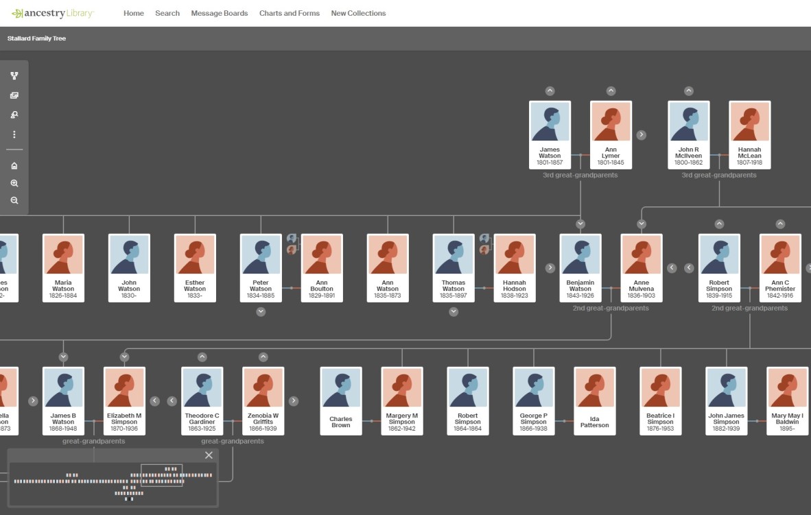 A diagram showing a series of blue and red boxes denoting male and female members of a family tree