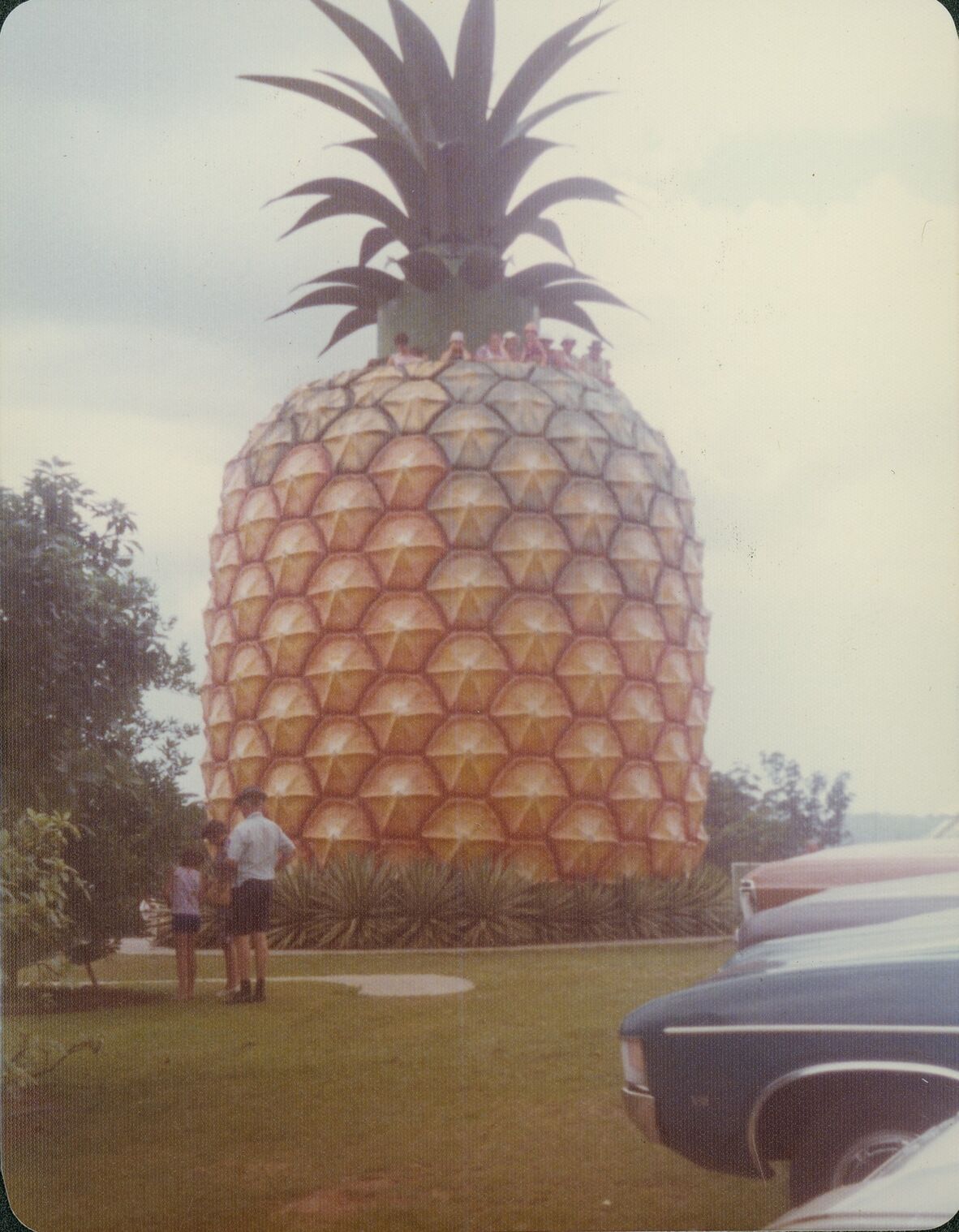 Two people standing in front of the Big Pineapple tourist attraction. A group of people can be seen standing on the observation deck of the Big Pineapple.