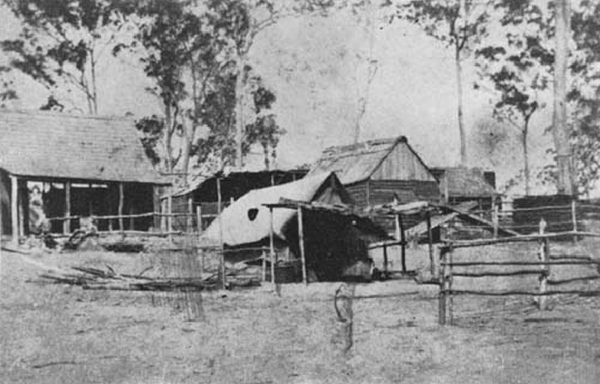 Cobb and Cos stables near the Northumberland Hotel Gympie ca 1870 