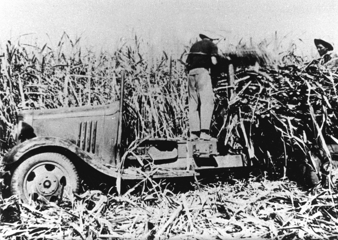 Black and white photo of men loading cut cane onto a truck, Home Hill