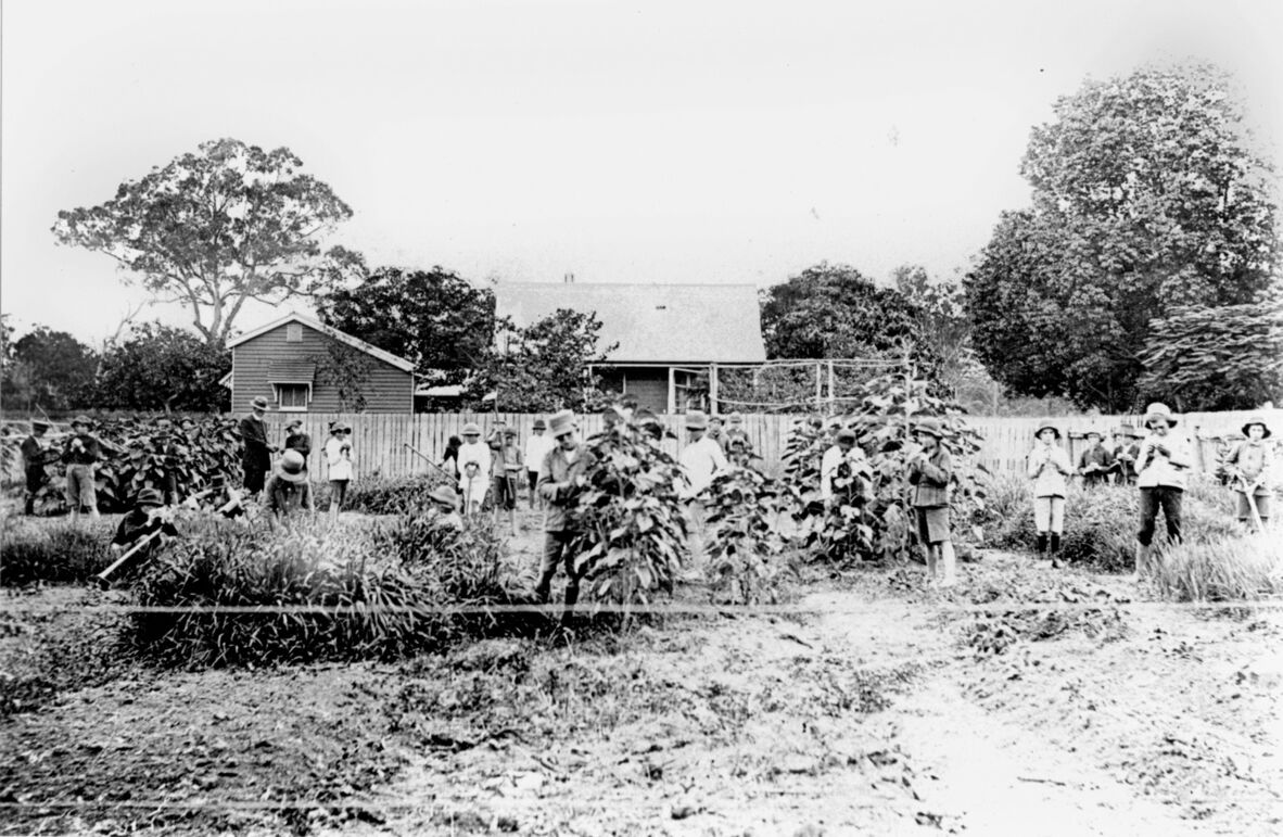 Tinana State School garden, Gympie Road, Maryborough, ca. 1905.