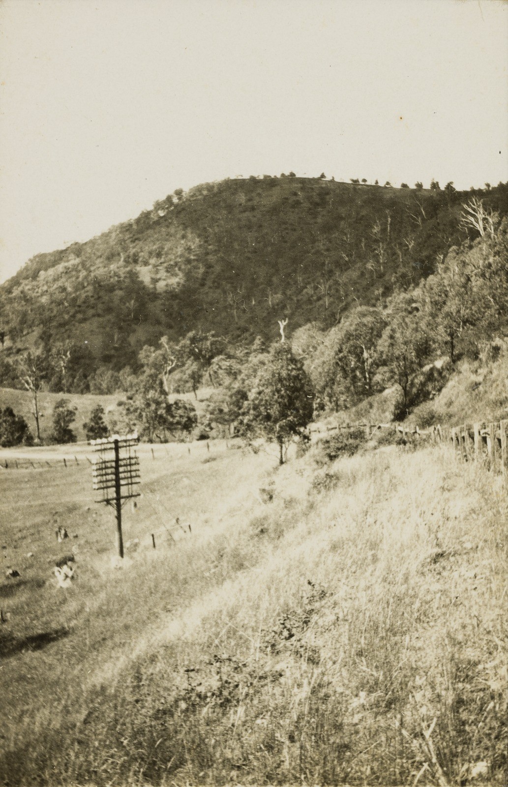 Lines across the landscape a telegraph pole in the St George region early 20th century 