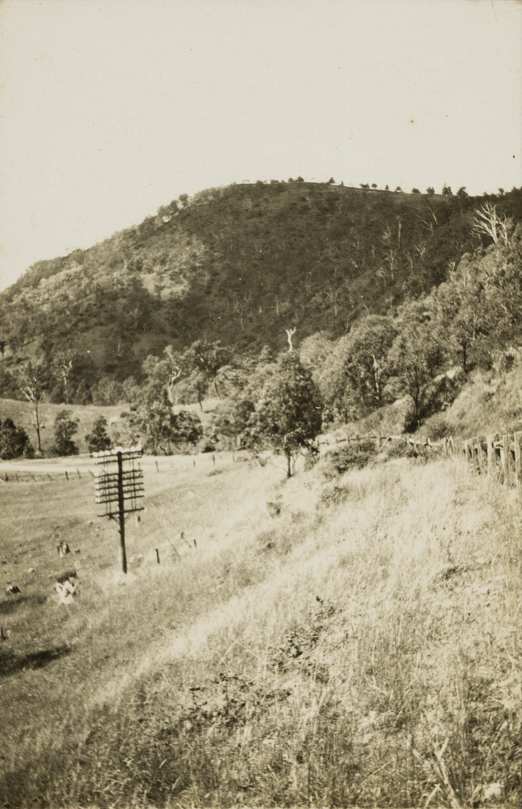 Lines across the landscape: a telegraph pole in the St. George region, early 20th century. 