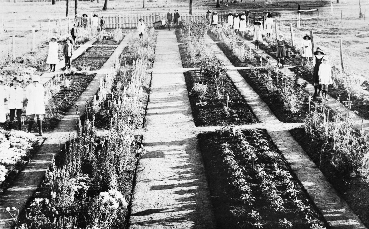 Mundubbera State School gardens, Queensland, 1920.