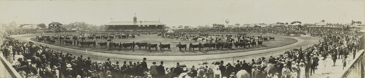 Panorama of the main show arena, Exhibition Ground, Brisbane, ca. 1916