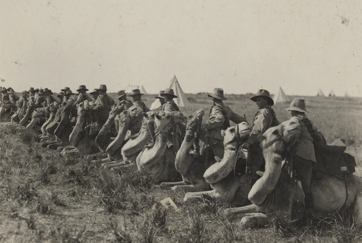 Members of the Australian Imperial Camel Corps Preparing to Mount during the First World War in the Middle East, 1914-1918