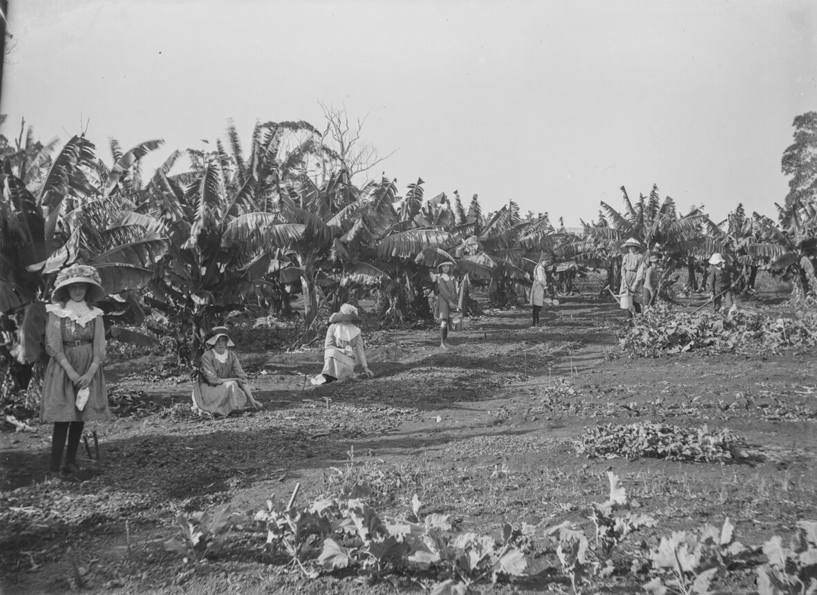 School children working in the State School's garden plot