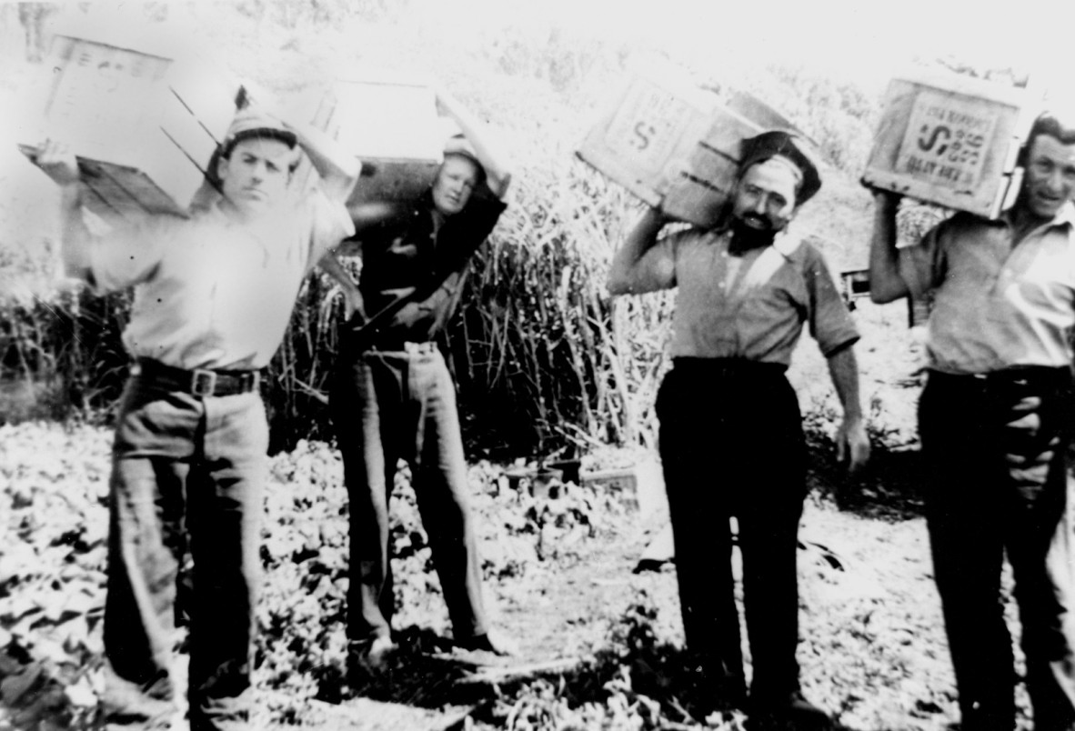 Old photograph of 4 men carrying crates on their shoulders.