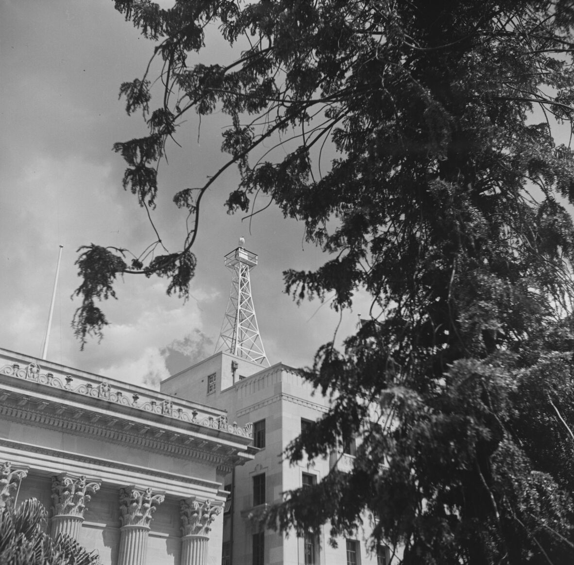 Black-and-white photo of a historic building with a rooftop tower, framed by tree branches in the foreground