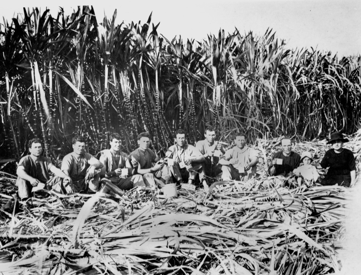  Italian sugar cane cutters Innisfail District Queensland 1923