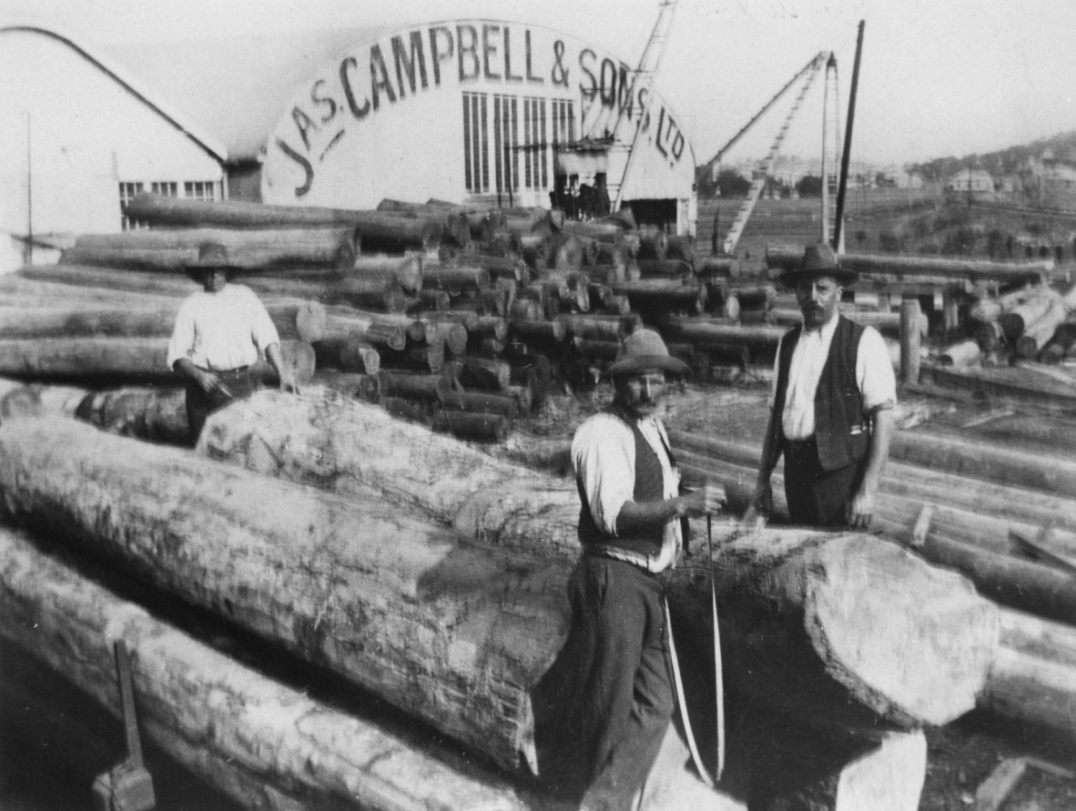 Sawmill owned by James Campbell  Sons at Albion 1908