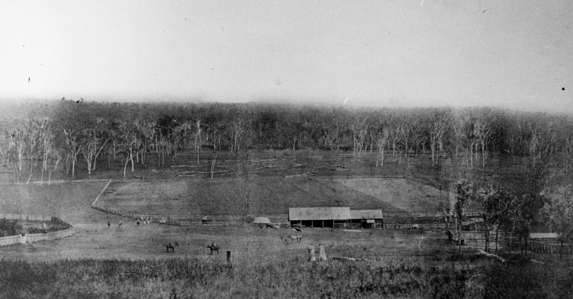 Tarong Station looking towards the home paddocks.