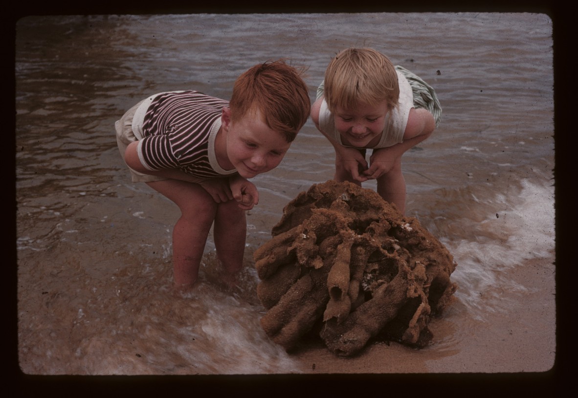 Two children on the seashore with some driftwood on Peel Island.