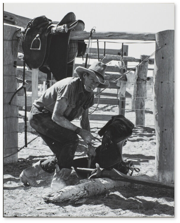 Farrier working at Marion Downs Station