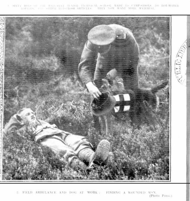 Field Ambulance and dog at work: Finding a Wounded man