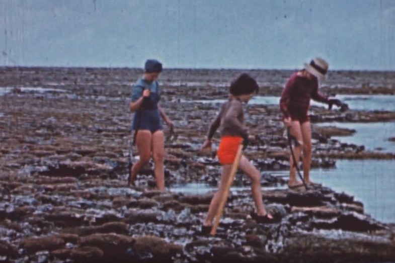 Film footage taken in 1948 of the Brown family holidaying on the Great Barrier Reef