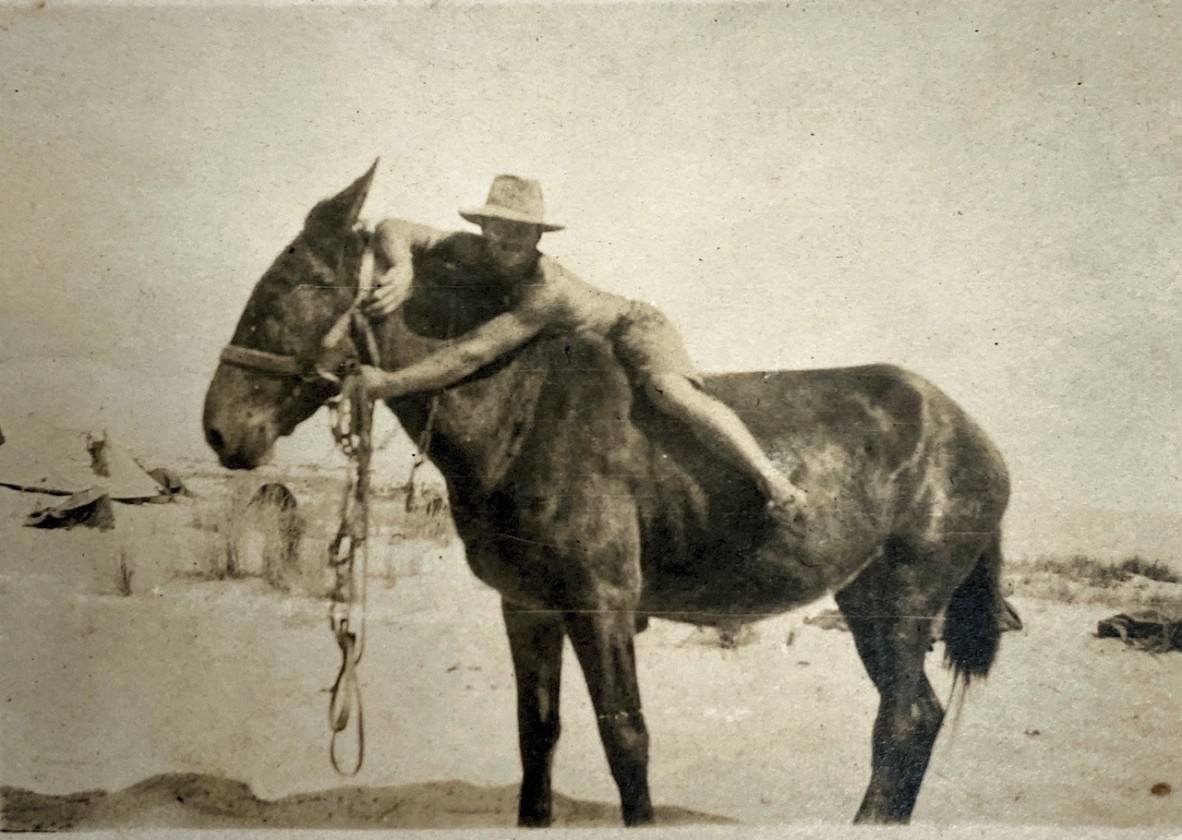 Trooper George Weeks astride his unsaddled horse in the Middle East during the First World War