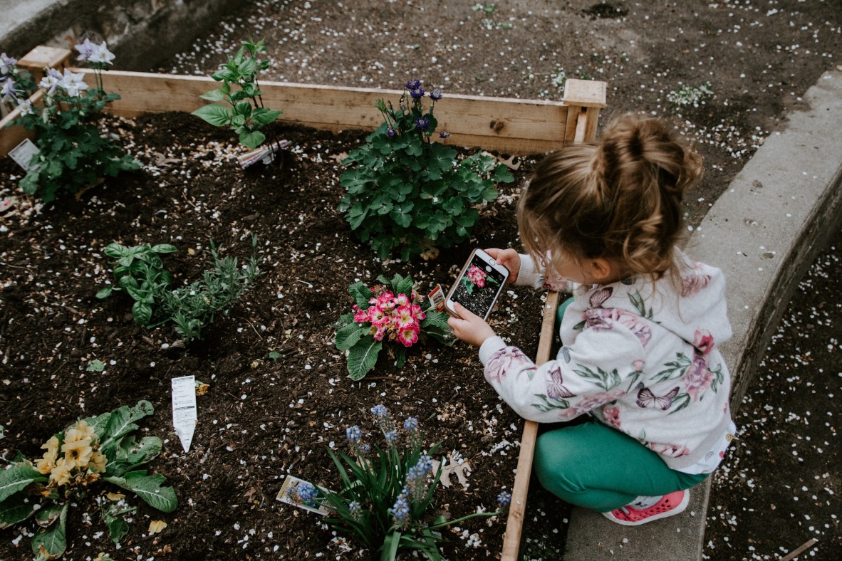 Girl taking photo of plants with phone