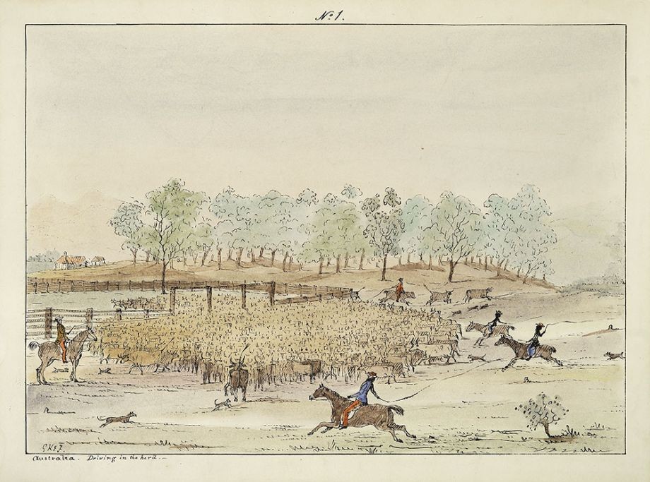 George Knight Erskine Fairholme 18221889 Australia Driving in the herd c1845 No 1 Hand-coloured lithograph John Oxley Library State Library of Queensland ACC 5753
