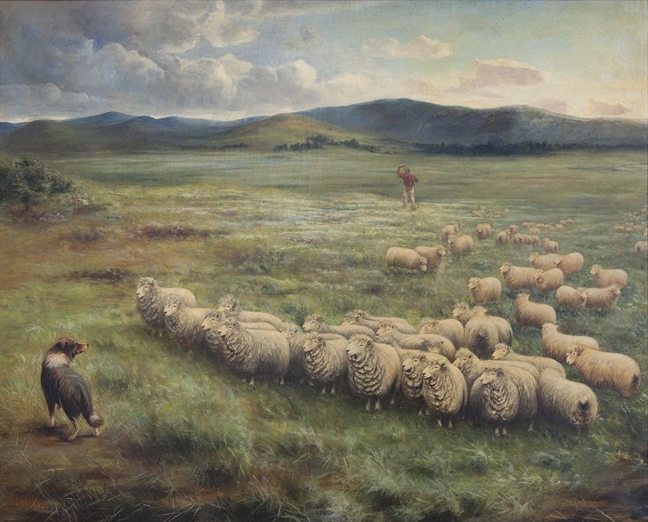 Anthony Alder 1838  1915 Lincoln sheep Homeward Laddie 1895 Oil on canvas 109 x 135 cm John Oxley Library State Library of Queensland ACC 28082