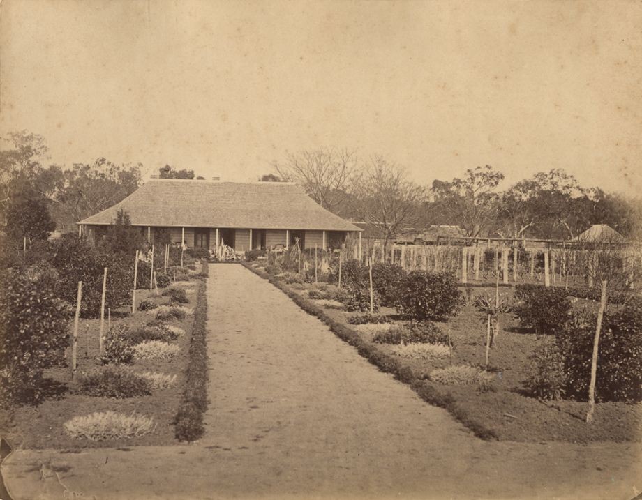 Heinrich Muller Western Creek Station in the Cecil Plains District of Queensland From Davenport Album 1877 John Oxley Library State Library of Queensland ACC 9949