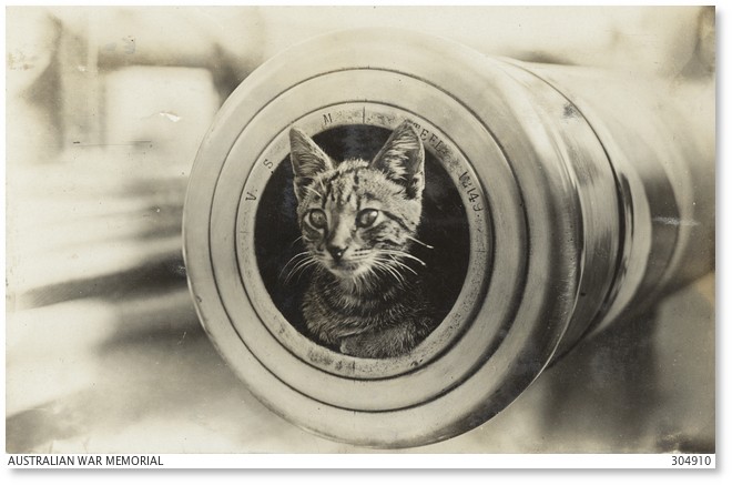 HMAS Encounter mascot