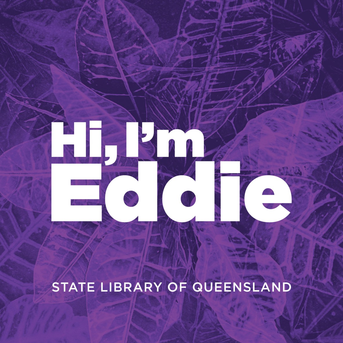 Hi Im Eddie purple with SL logo