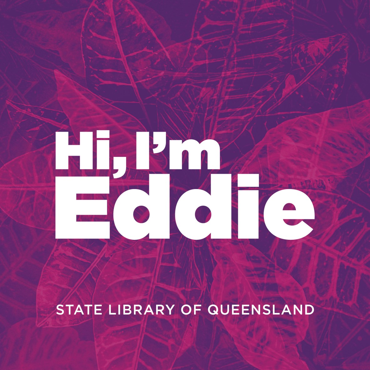 Hi Im Eddie pink with SL logo