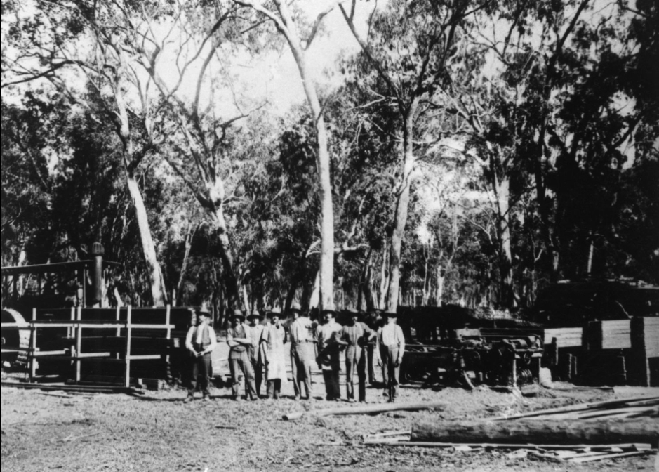 A group of men standing in front of some trees and yards