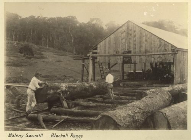 Two men with a fallen tree log outside the Maleny Sawmill