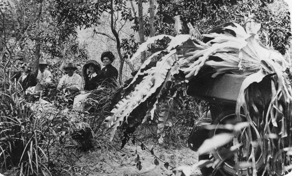 Group of people having a picnic in the bush near Maryborough after gathering staghorns, ca. 1915