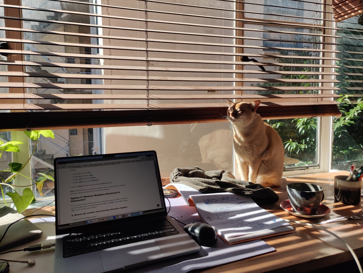 Image is of a desk in front of a window. On the desk is an open laptop and a ginger cat.