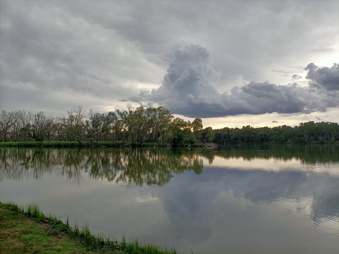 A view over a beautiful natural scene, showing a place where the Murray and Darling Rivers meet. There is lush vegetation and a cloudy sky that looks full of rain.