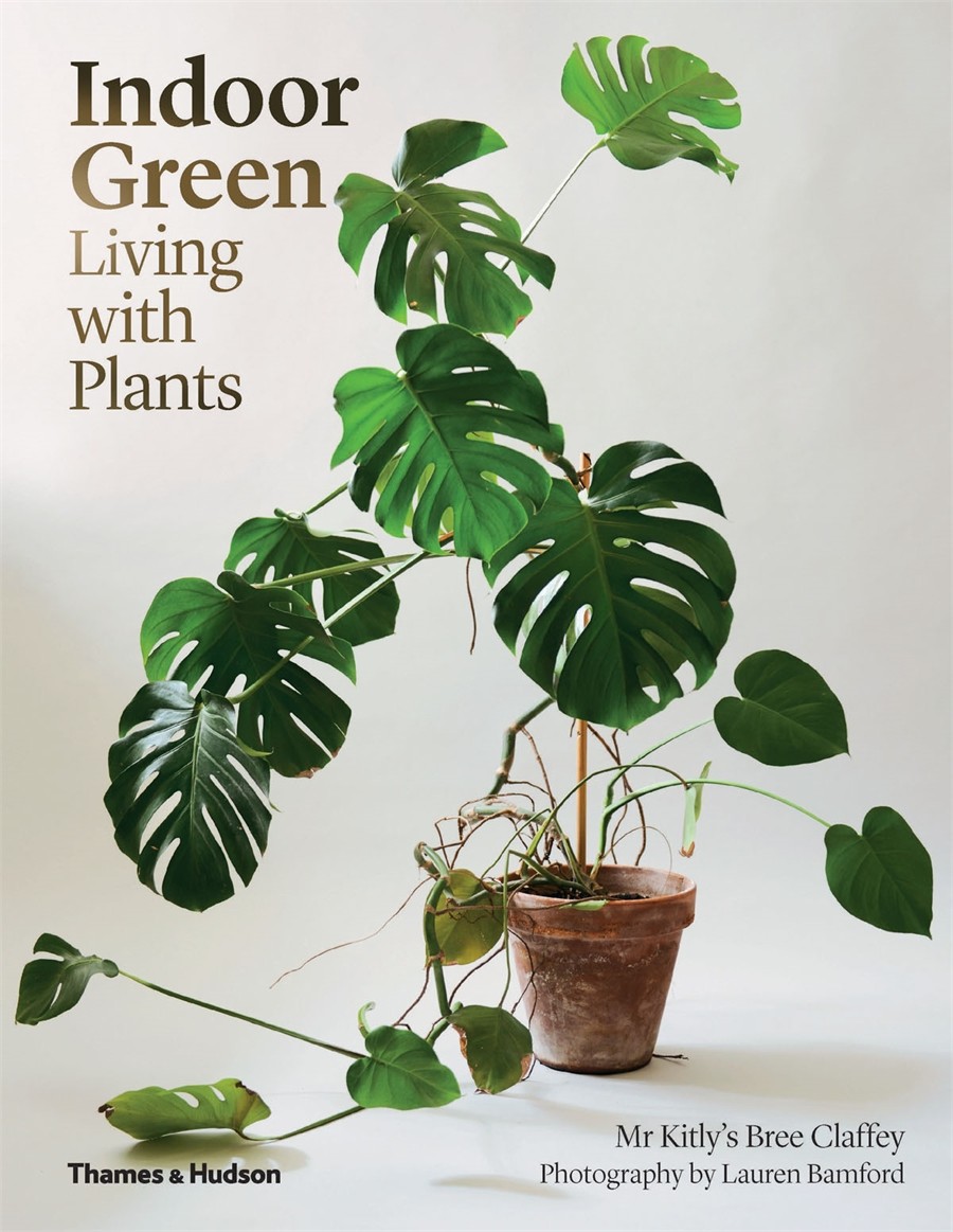 Indoor Green book cover