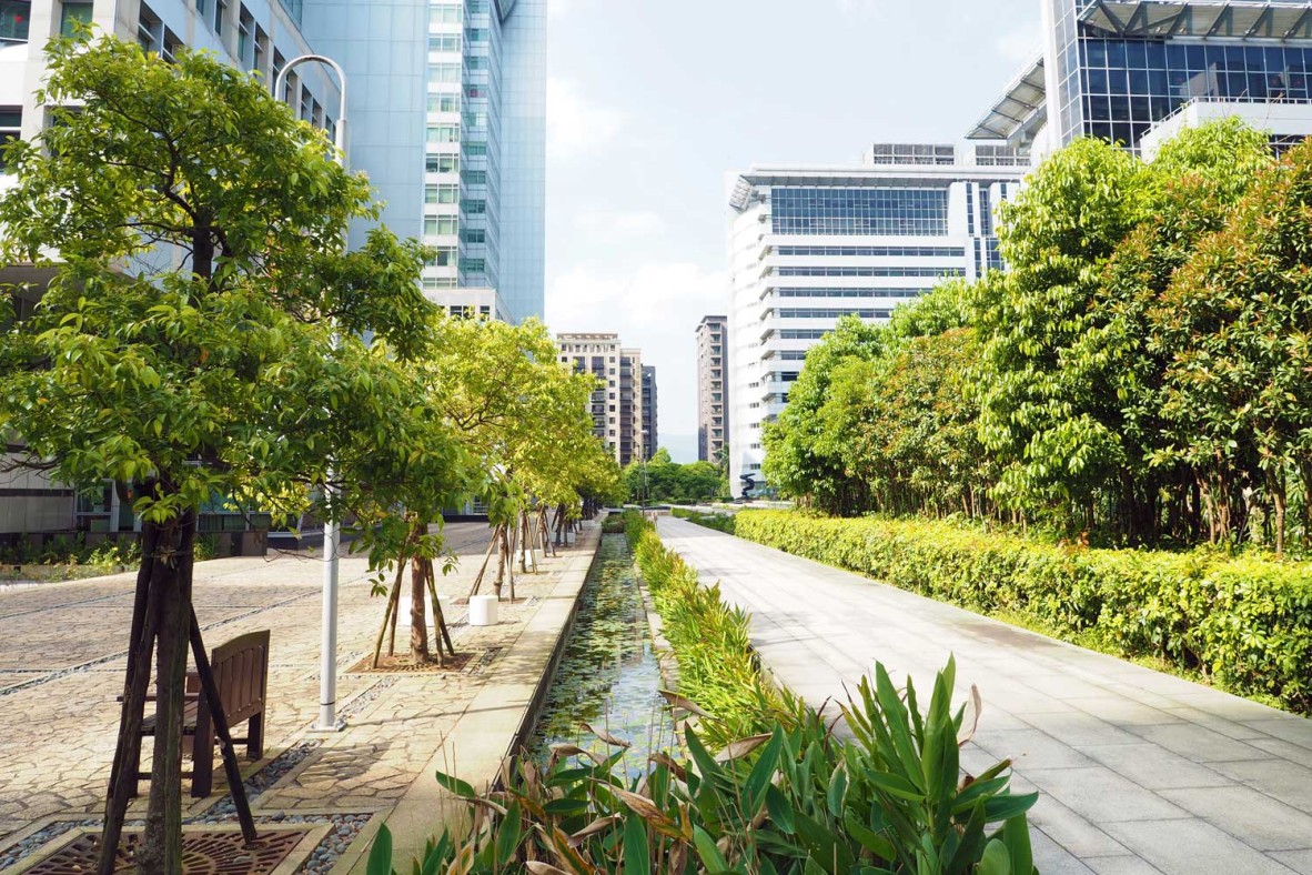 Infiltration trench in urban design.