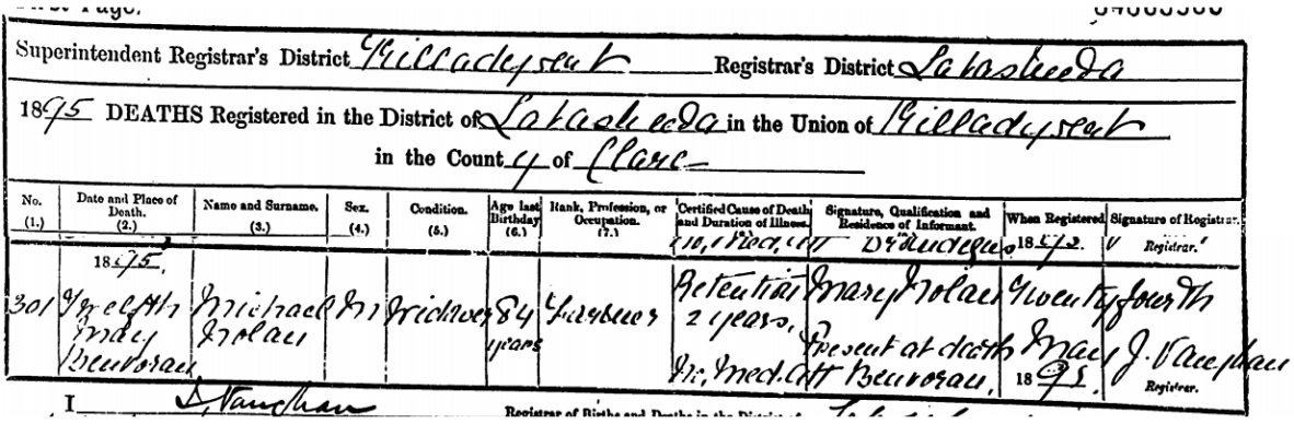 Entry from General Register Office Republic of Ireland death register 1895