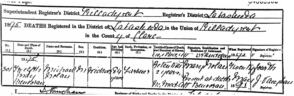 Entry from General Register Office, Republic of Ireland, death register 1895