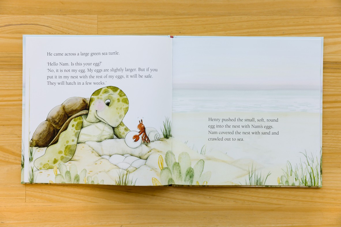 A turtle meets a crab with an egg on the beach