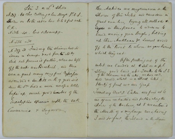 Extract from Field Book: Exploration of Brisbane River, 30 November 1823 - 5 December 1823. John Oxley (surveyor).