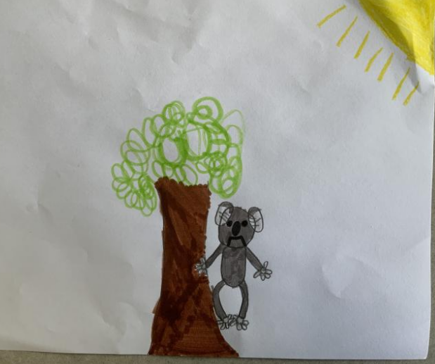 A coloured hand drawn illustration of a Koala beside a tree 