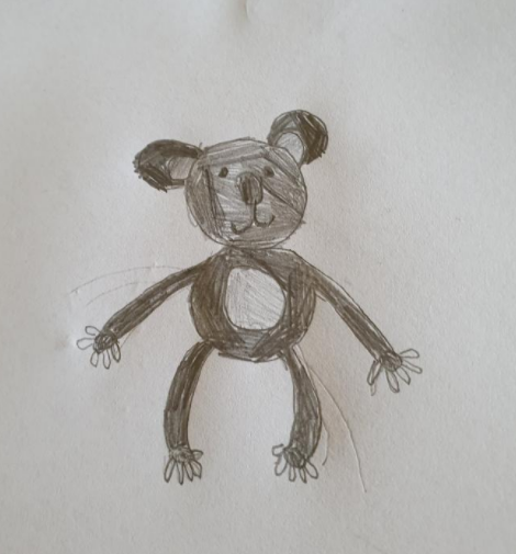 Koala, SnowyLeopard, Age 9, Summer Reading Club 