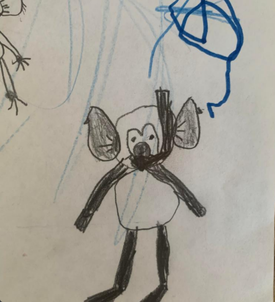 Jazz the Koala, Cod7, Aged 7, Summer Reading Club