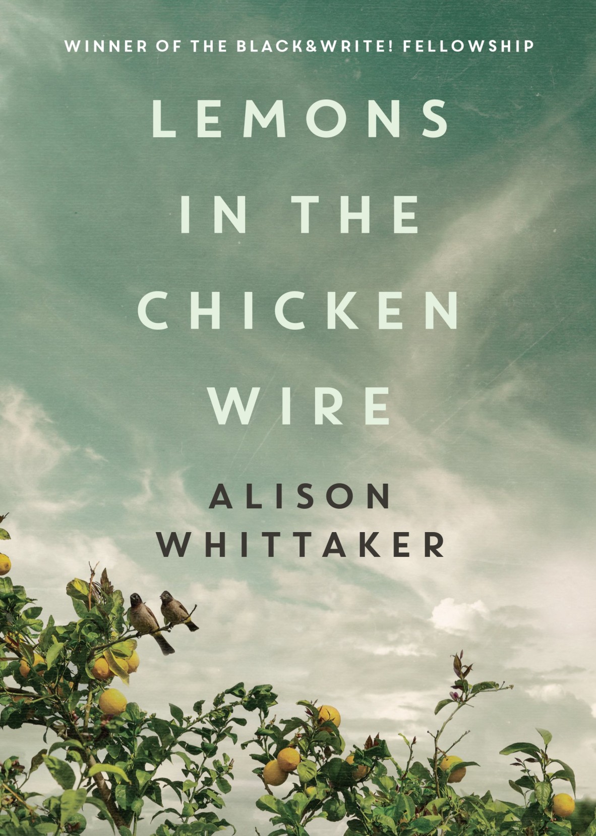 A book cover showing lemon trees beneath a blue sky The text reads Lemons in the chicken wire Alison Whittaker