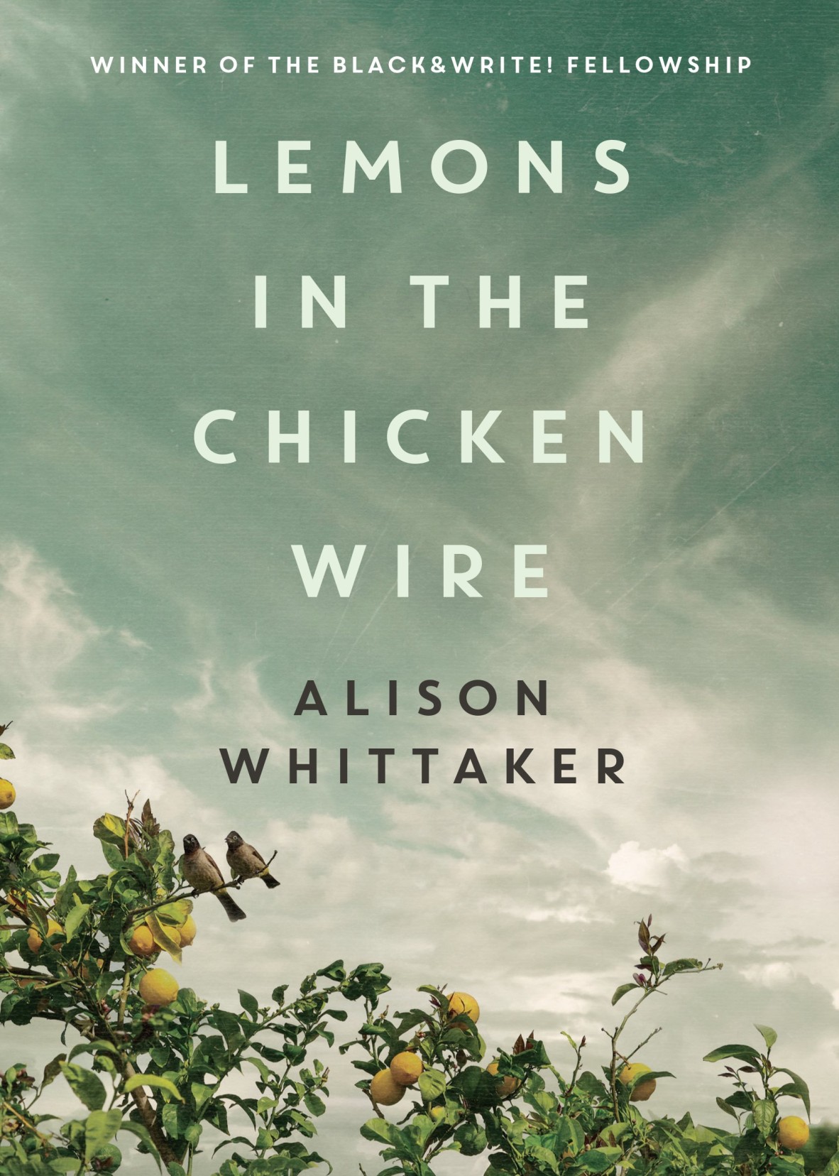 A book cover showing lemon trees beneath a blue sky. The text reads Lemons in the chicken wire, Alison Whittaker.